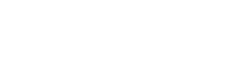 株式会社ゼニスインサイト（ZENITH INSIGHT）ロゴ